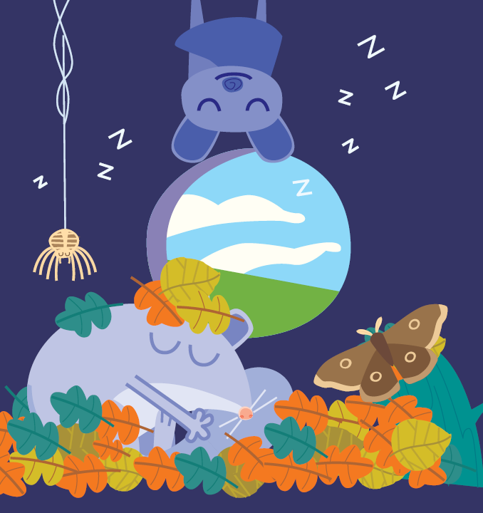 EHI! Che sonno! - immagine 4