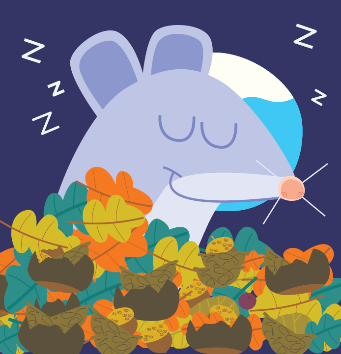 EHI! Che sonno! - immagine 5